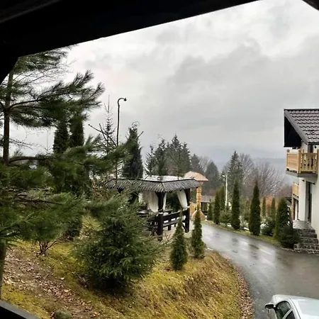 Pensionat Alpina Panoramic