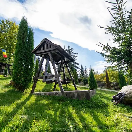 Alpina Panoramic Pensionat Moisei