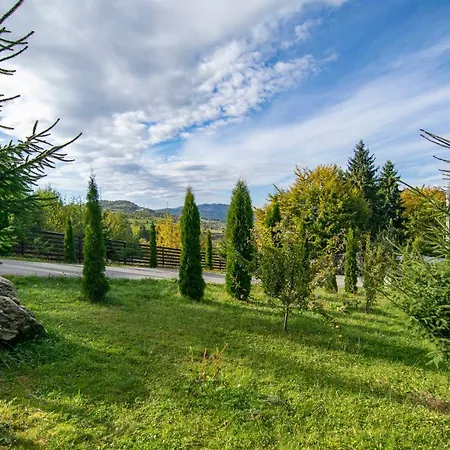 Alpina Panoramic Pensionat Moisei