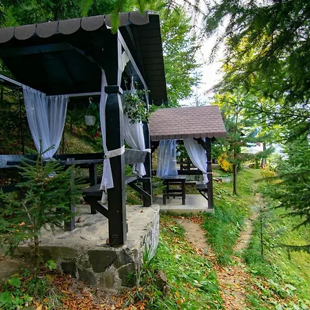 Pensionat Alpina Panoramic