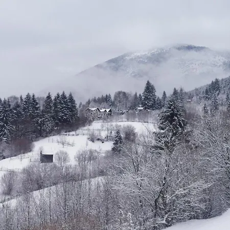Alpina Panoramic Penzion Moisei