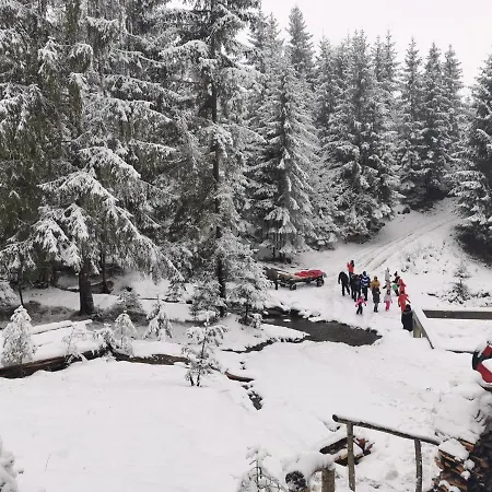 Alpina Panoramic Moisei