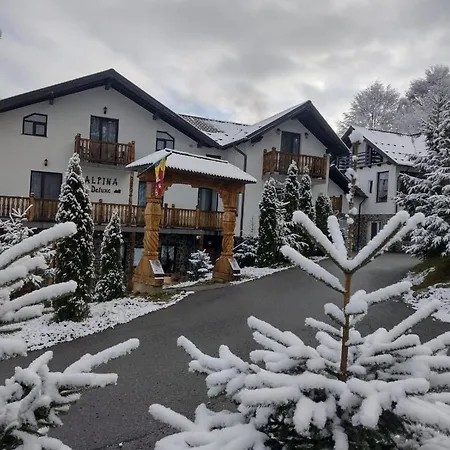 Pensionat Alpina Panoramic Moisei