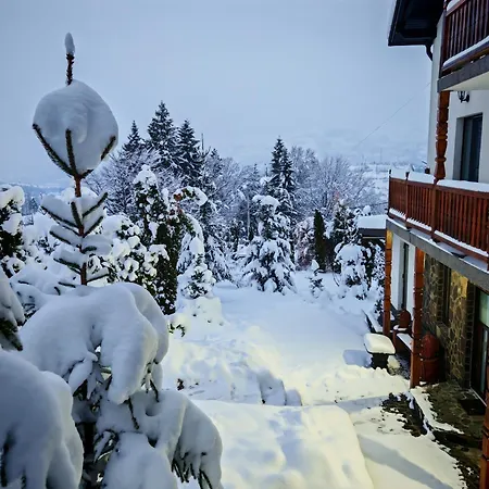 Alpina Panoramic Penzion Moisei