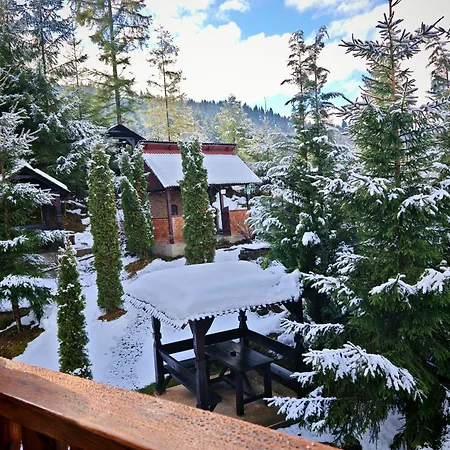 Penzion Alpina Panoramic Moisei