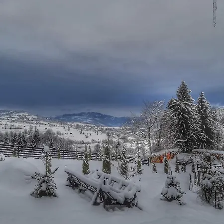 Penzion Alpina Panoramic Moisei